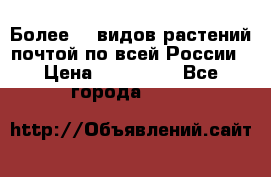 Более200 видов растений почтой по всей России › Цена ­ 100-500 - Все города  »    